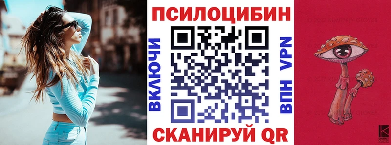 Псилоцибиновые грибы прущие грибы  сколько стоит  блэк спрут сайт  Курганинск 